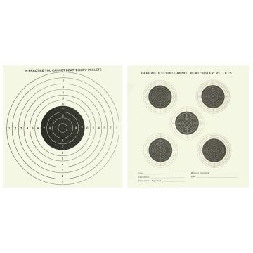 Bisley 25 10 Zone Targets BITPTI