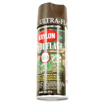 Krylon Ultra Flat Paint Brown