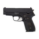 WE F229 Sig P229 Style 6mm Airsoft GBB Pistol RIF