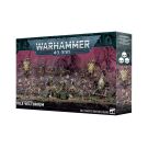 Warhammmer 40,000 - Death Guard Battle Force - Vile Vectorium- 42-18