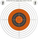 Bisley Medium Card Paper Single Targets 17cm - BIT1ECL
