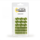 Citadel Colour Verdia Verdia Tufts - 66-25