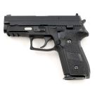 WE F229 Sig P229 Style With Rail 6mm Airsoft GBB Pistol RIF