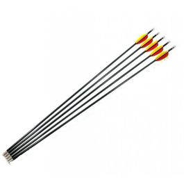 Compound Carbon Fibre Arrows 28″ - Set Of 5
