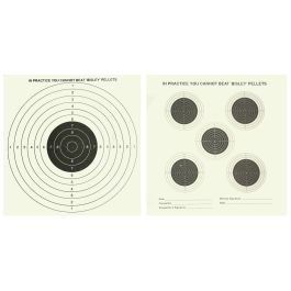 Bisley 25 10 Zone Targets BITPTI