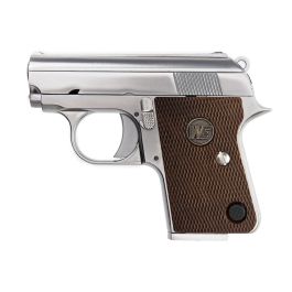 WE CT25 Silver 6mm Airsoft Gas Blow Back Pistol RIF GBB