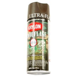 Krylon Ultra Flat Paint Brown