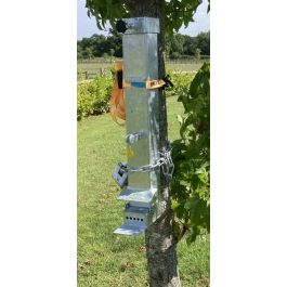 Toms Targets Squirrel Feeder With Gong Target