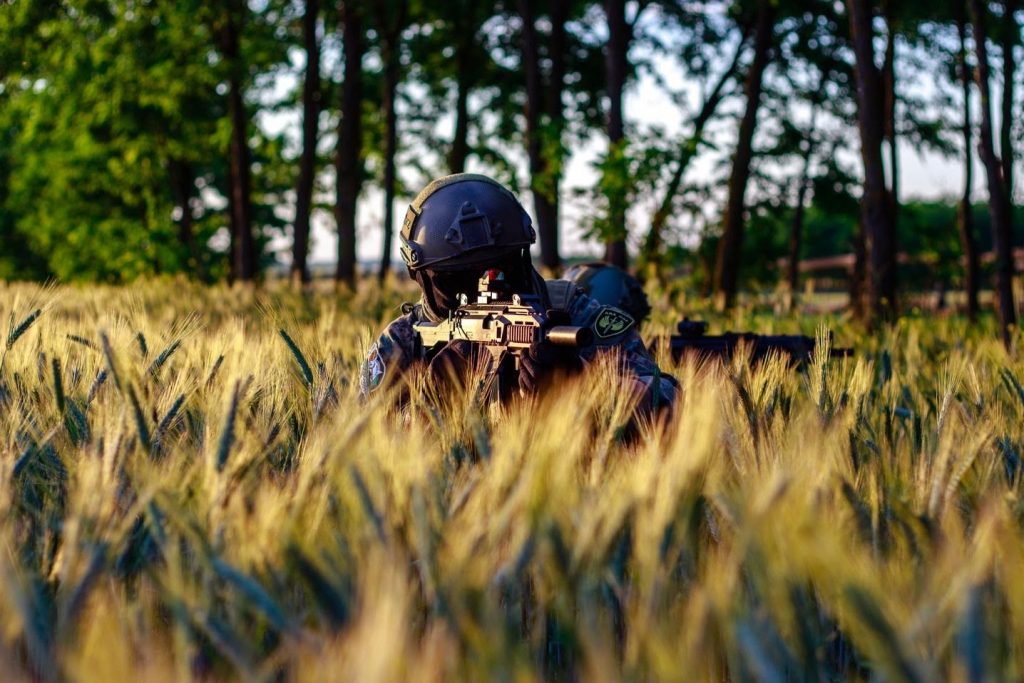 An airsofter aiming their gun while surrounded by wheat