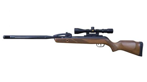 Gamo Varmint Swarm air rifle