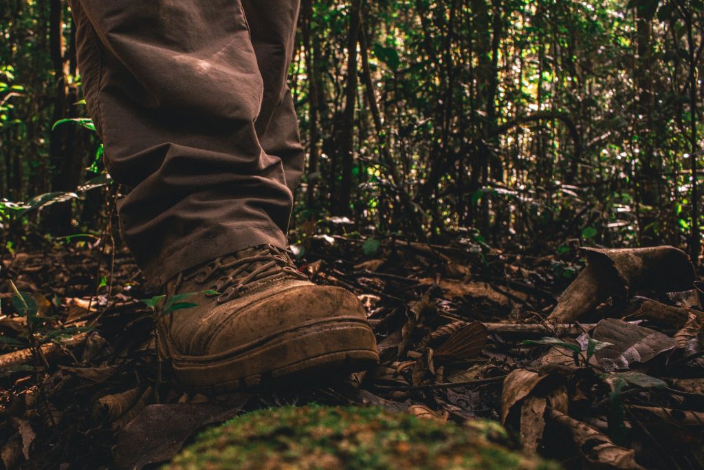 Someone wearing walking boots in a forest