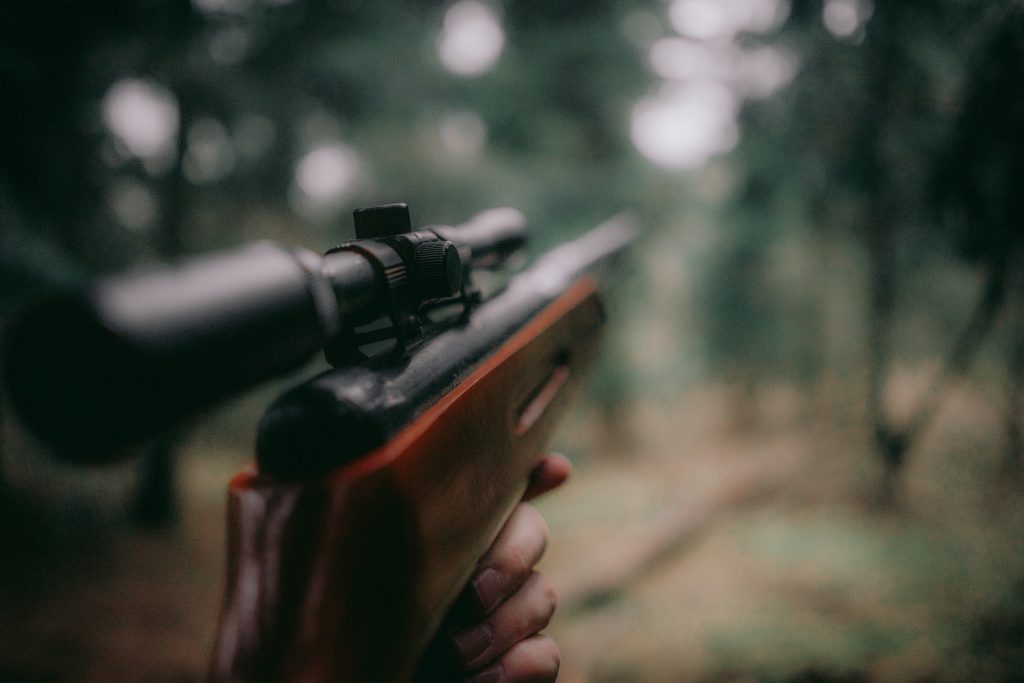 Someone aiming an air rifle in the woods