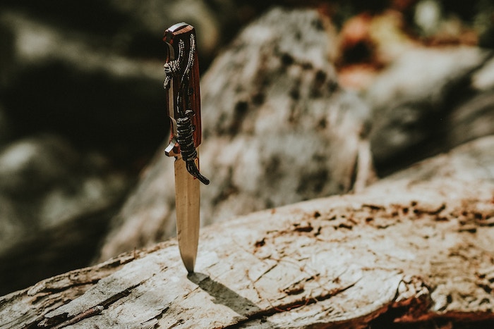 An outdoor knife in a tree trunk