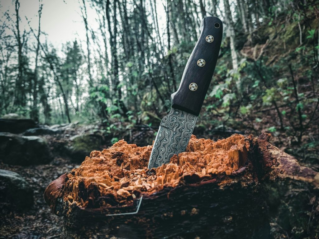 A knife buried in a tree stump