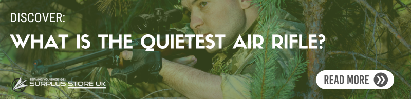 What is the quietest air rifle?