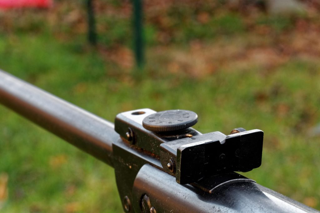 An air rifle sight