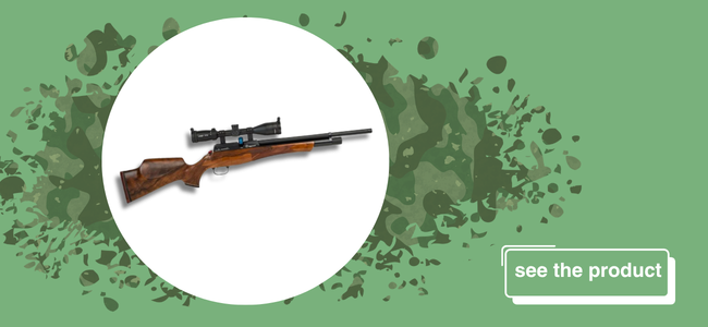 Daystate Huntsman Revere