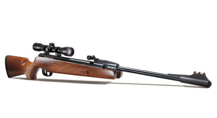 Dovetail rail on Remington air gun