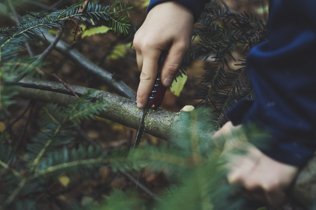 Man using knife to cut a branch