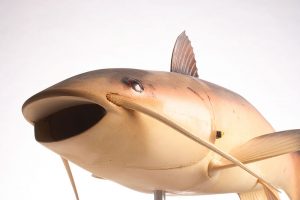 Charlie the remote-controlled fish