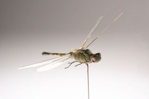 Insectothopter, miniature UAV