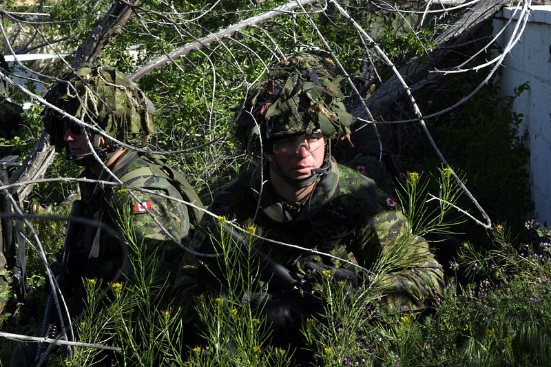 A Brief History of Military Camouflage Part Two: Modern Advancements ...