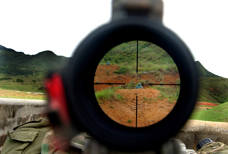 Crosshairs when looking down a rifle scope. 