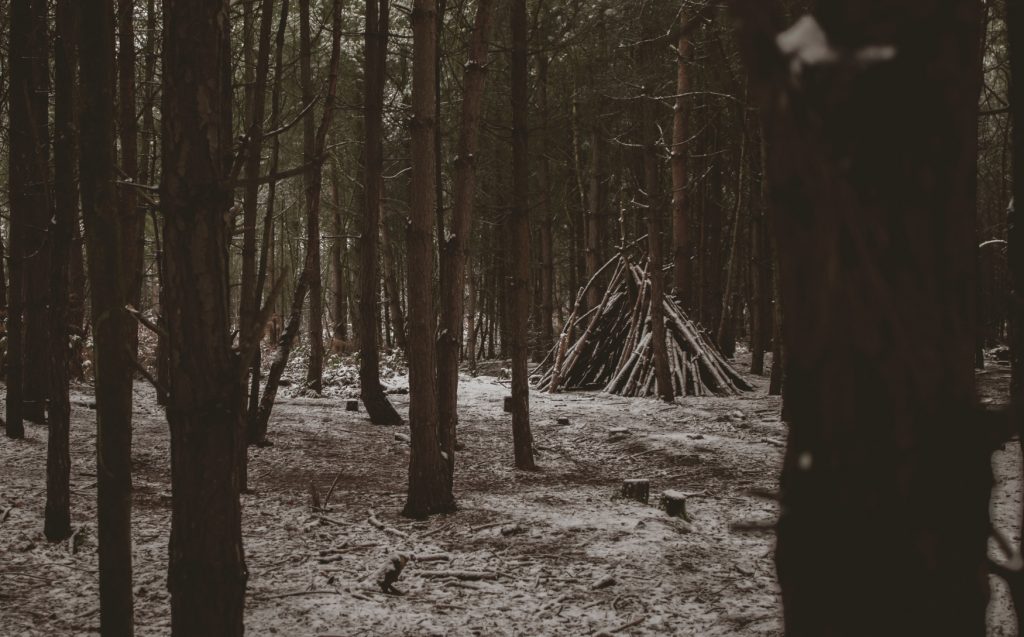Improvised shelter